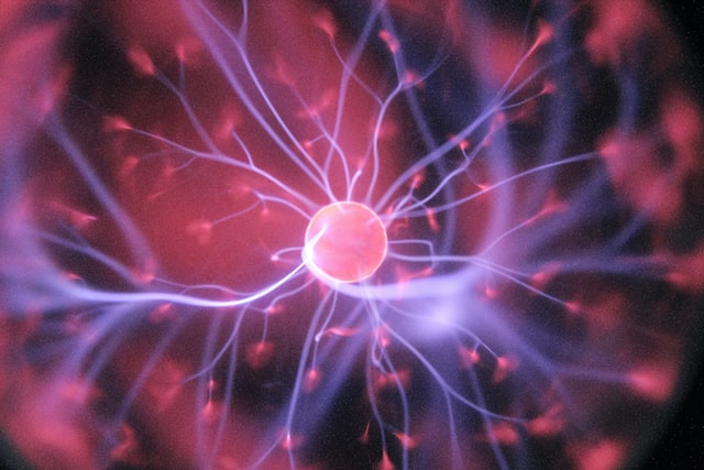 Neuron in purple and pink