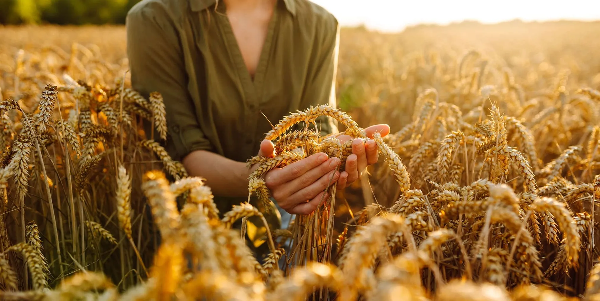 Real Estate Centre | Farm