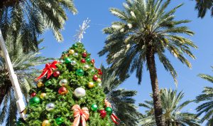 Christmas tree and palm trees