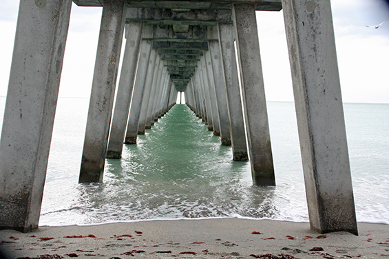 #SaundersSights #VeniceFL #VeniceFishingPier