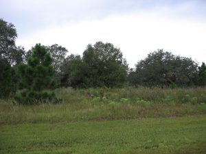 1101 N. Biscayne Drive_Schaper