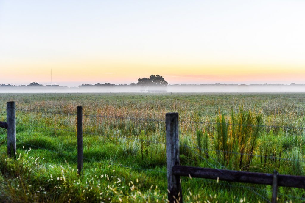 Untouched natural beauty at Indian Creek.