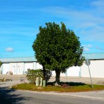 2807 29th Avenue East_Bakker