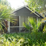 329 S. Osprey Avenue_Massey