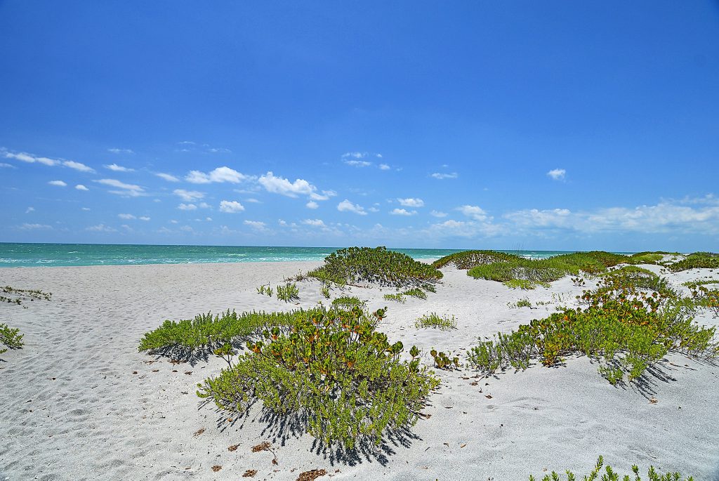 In the last five years, Siesta Beach has been named both the #1 & #2 beach in the United States by Dr. Beach. 
