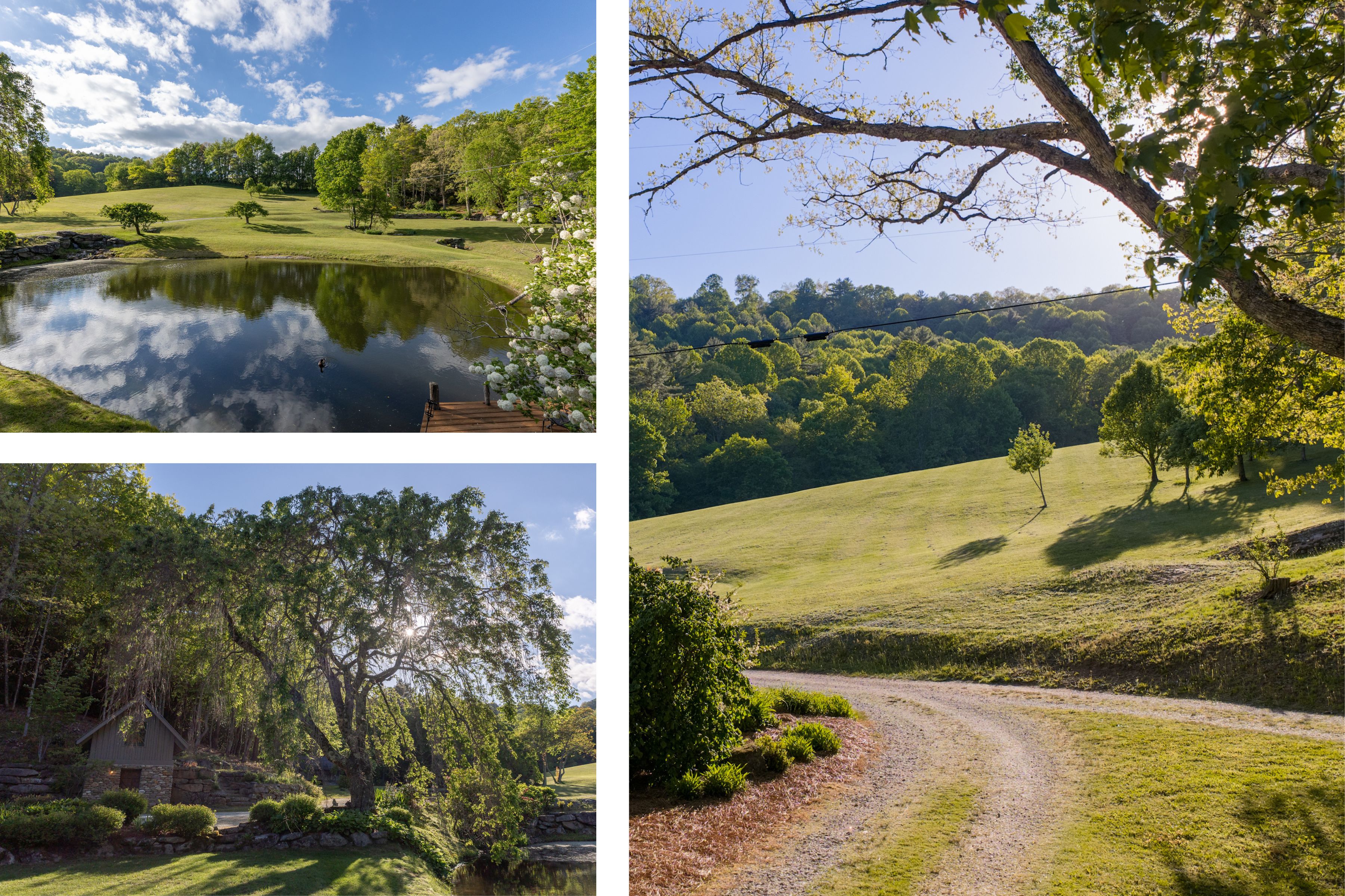 567 Lloyd Hooper Road pasture and ponds