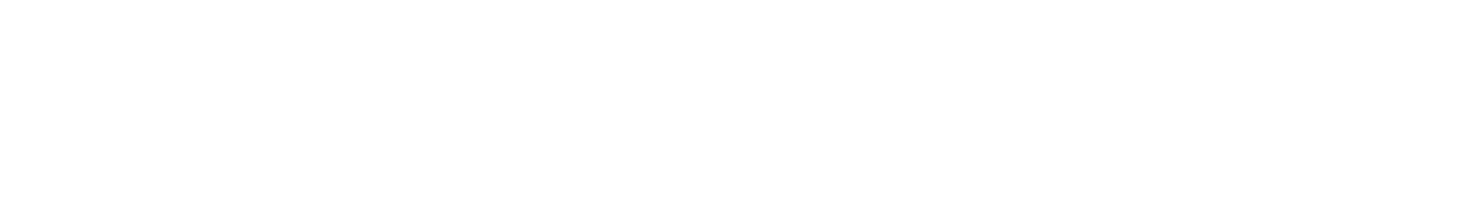 Team Paradise logo