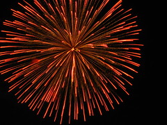 Happy New Year! 2007!!!!!!!!