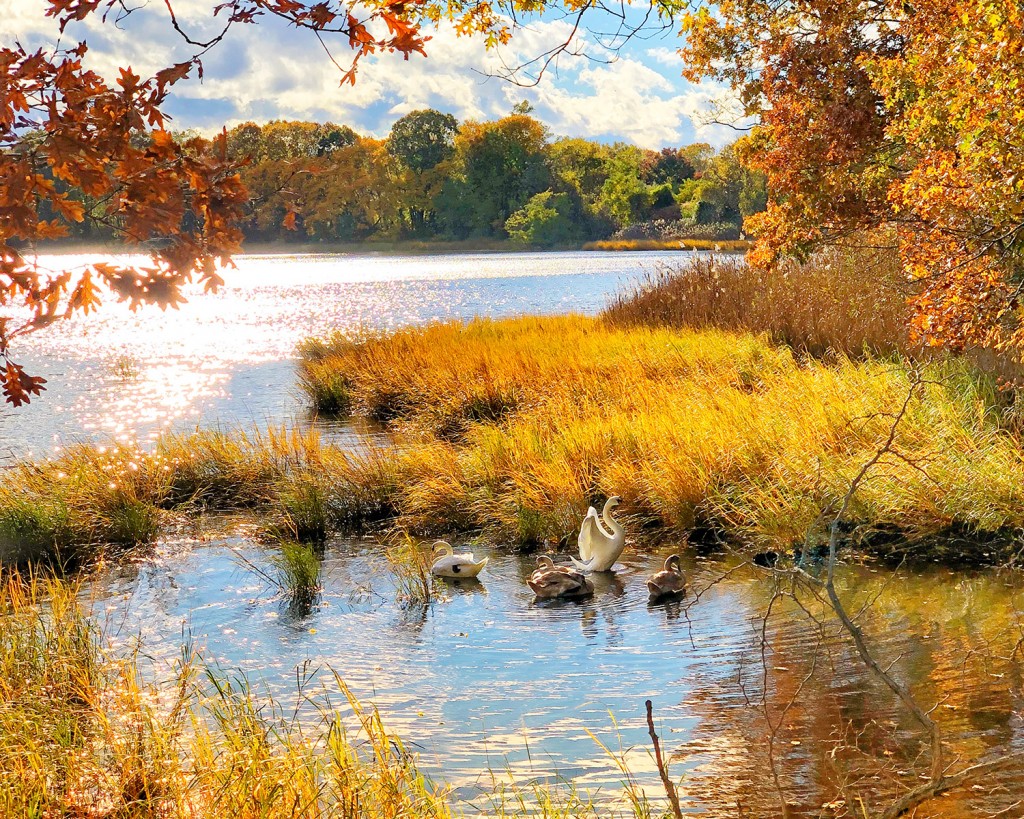 Eddie Rayden - Bike Path Bullock's Cove - Riverside