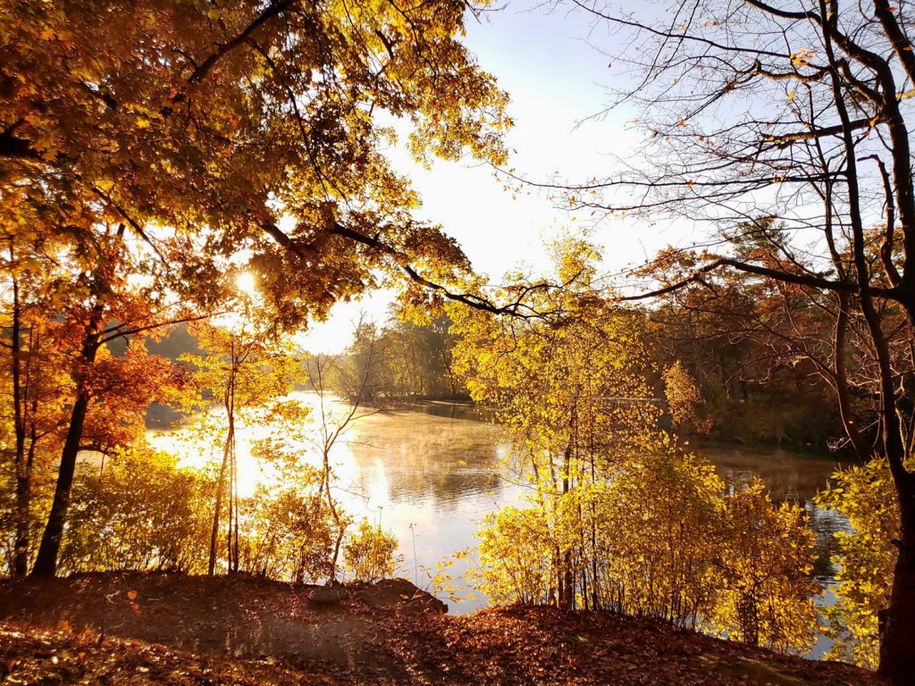 Rachael Dotson - Roger Williams Park - Providence