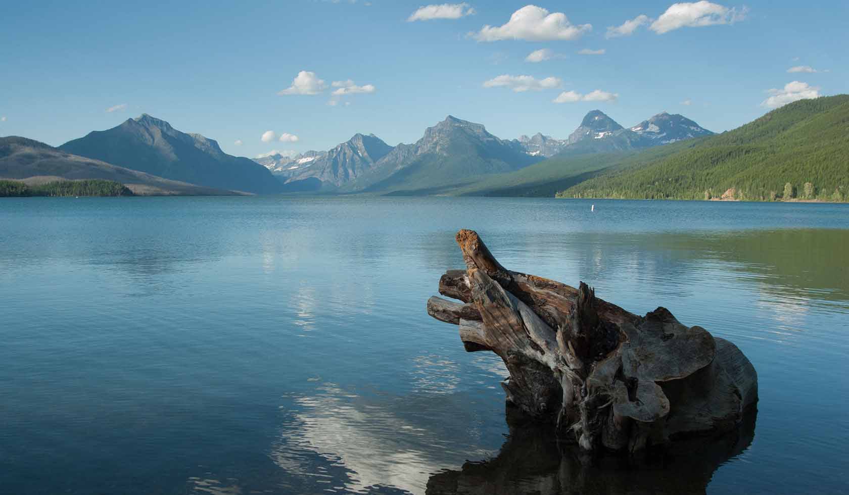GLACIER NATIONAL PARK ENTERS PHASED REOPENING