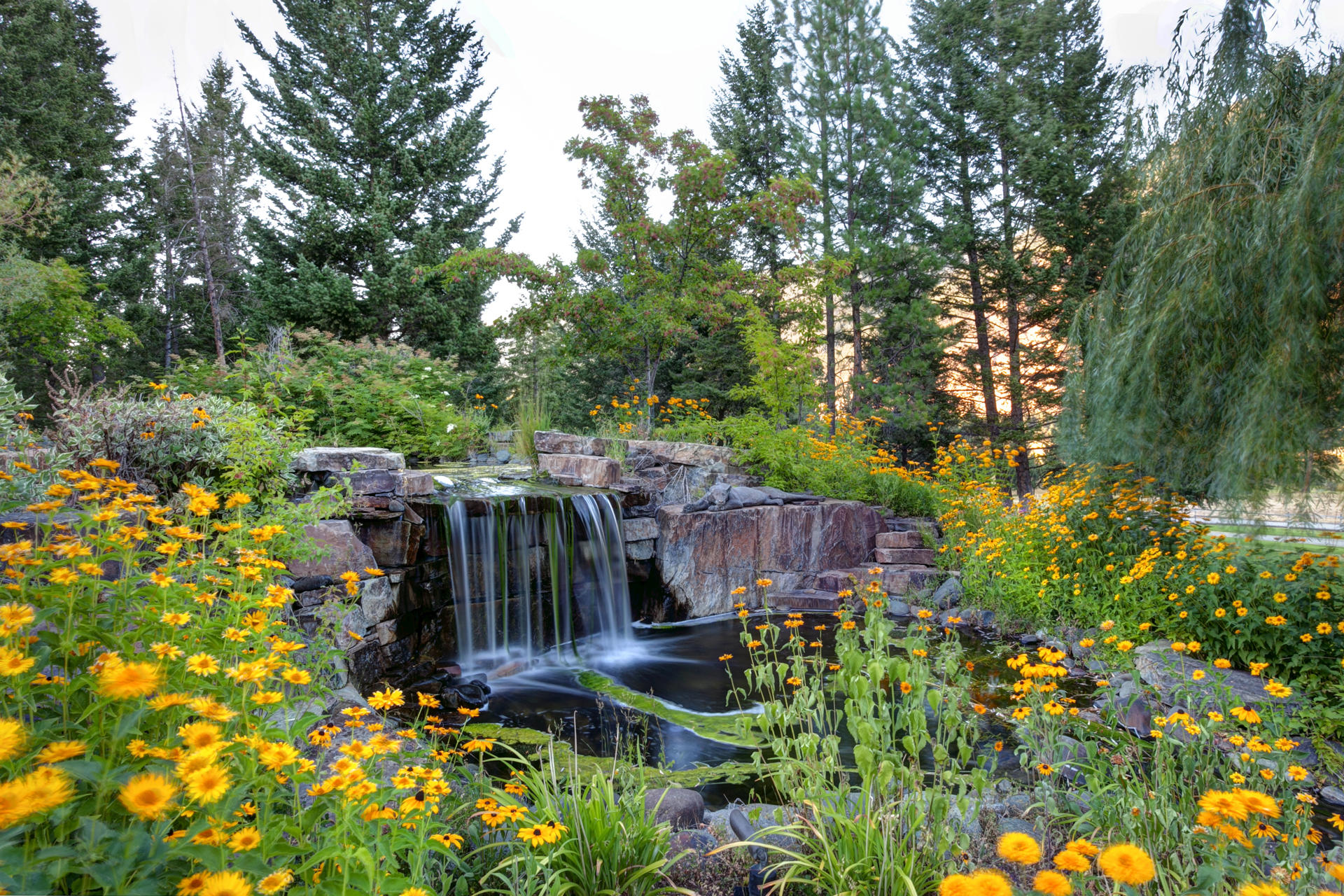 OUR FAVORITE 2020 GARDEN TRENDS