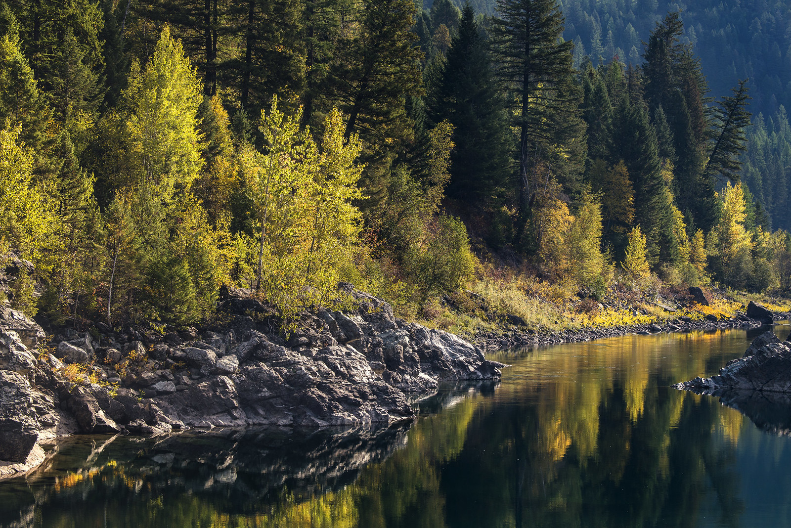 SPOTLIGHT- MIDDLE FORK OF THE FLATHEAD RIVER
