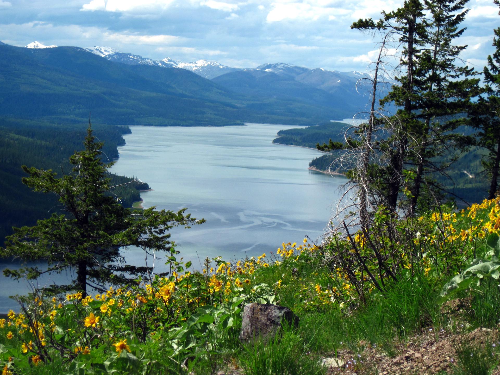 WHEN MONTANA IS HOME