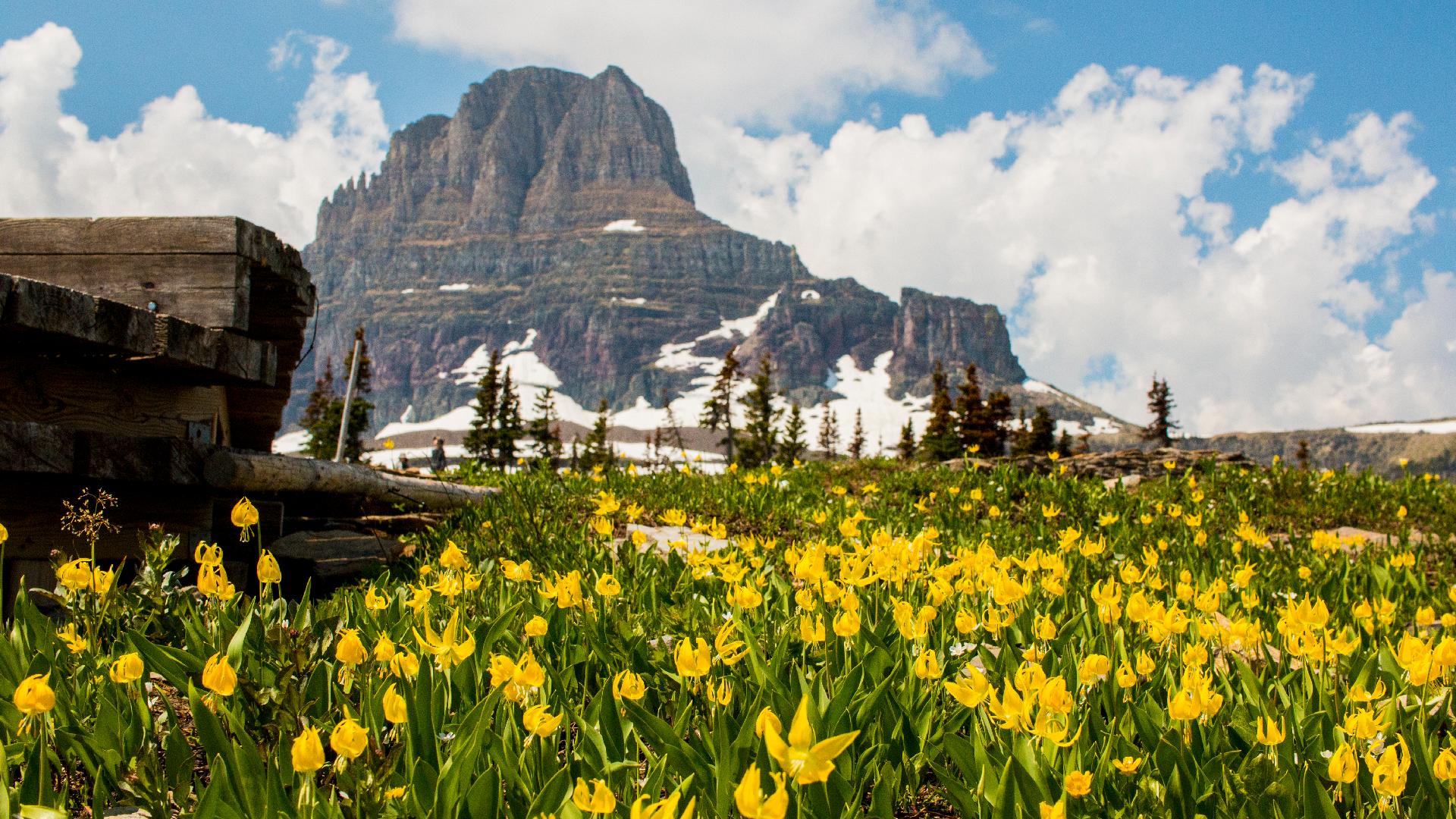 SPRING FUN ACROSS MONTANA
