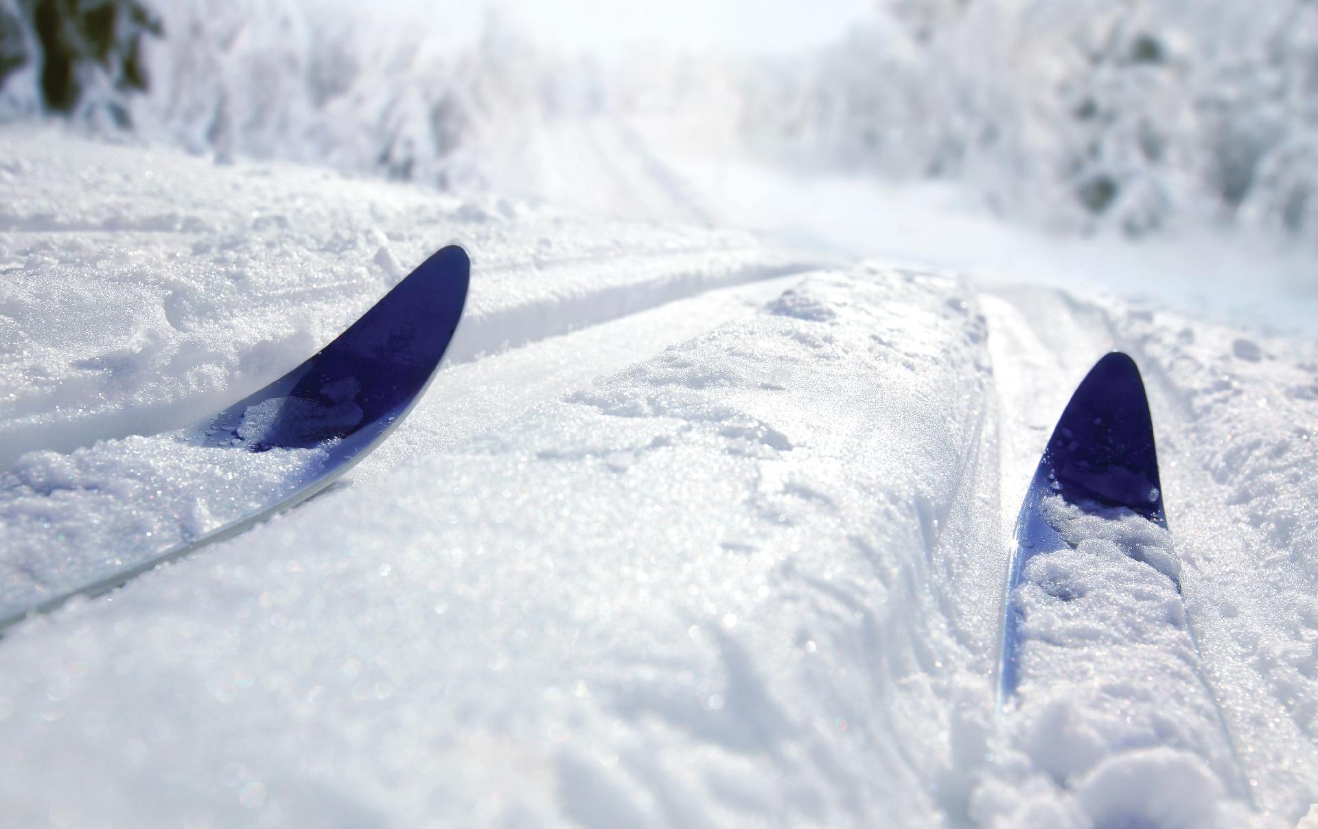 WINTER OLYMPIC FUN