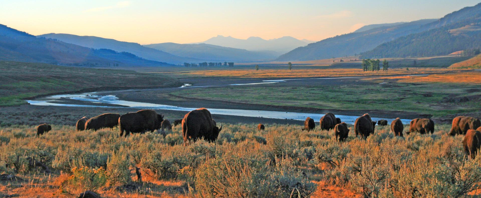 FUN FACTS ABOUT THE NATIONAL PARKS IN MONTANA