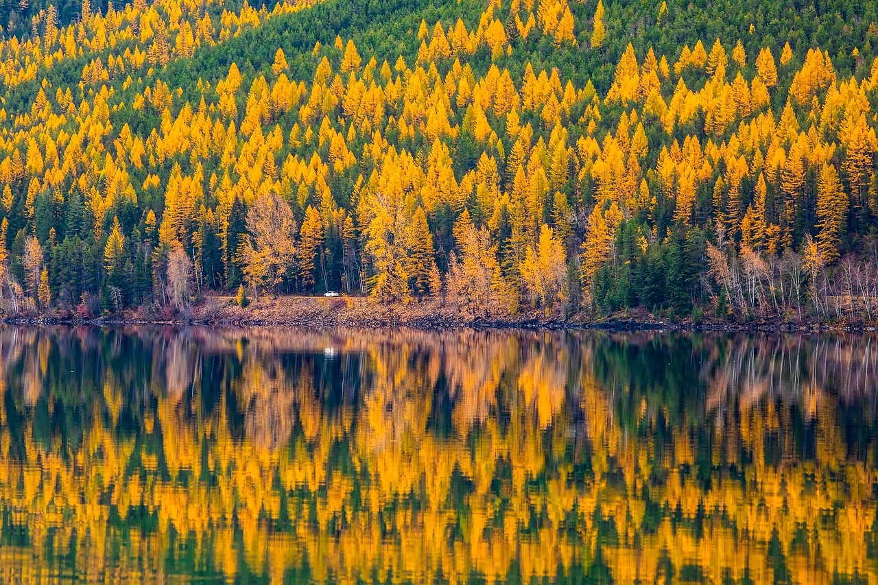 MONTANA&apos;S FIERY FALL FOLIAGE