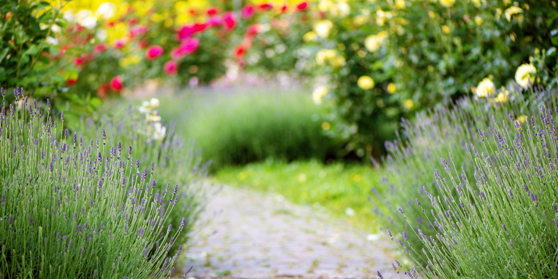TRENDING DESIGNS FOR GARDEN SPACES