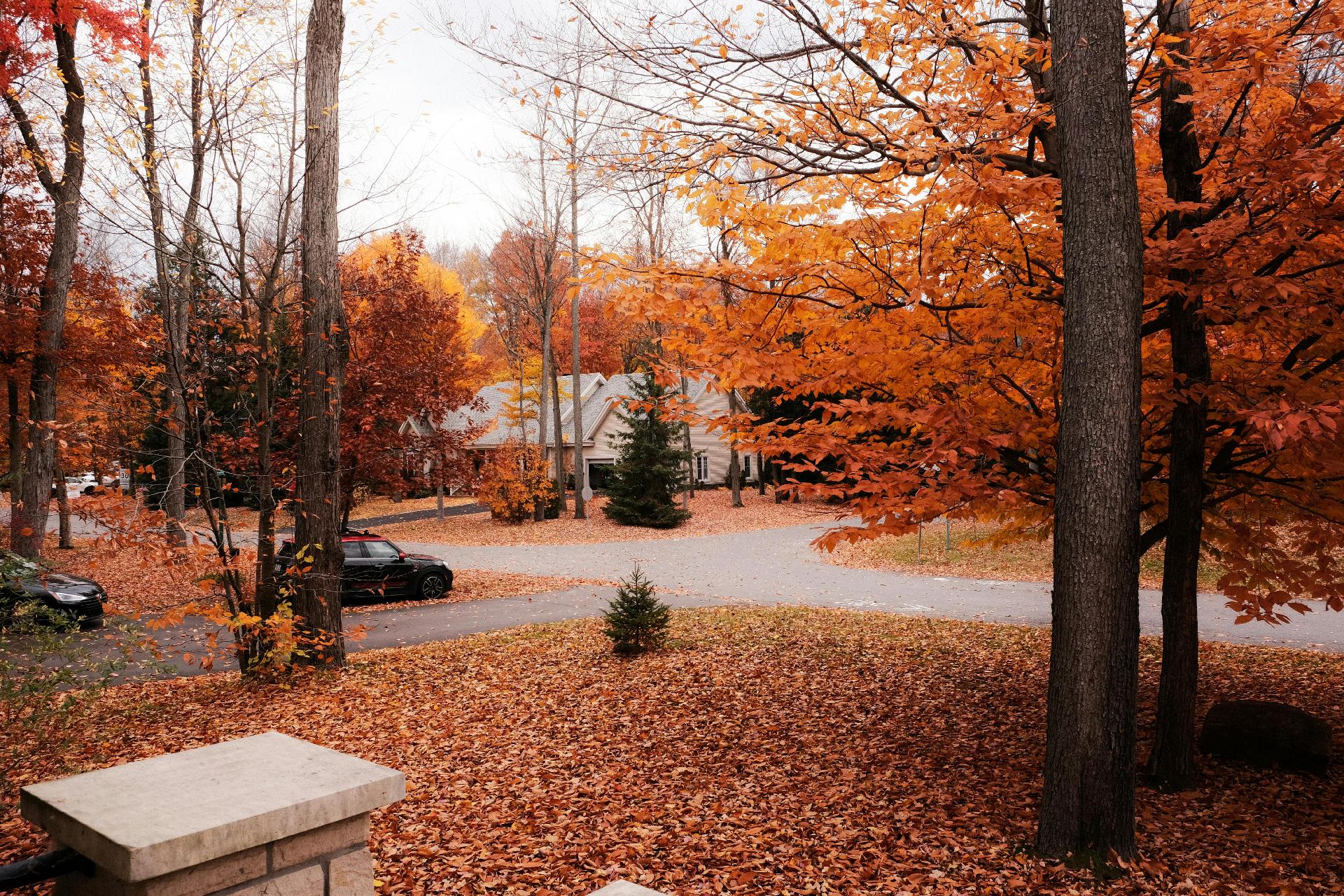 YOUR FALL HOUSING MARKET QUESTIONS ANSWERED