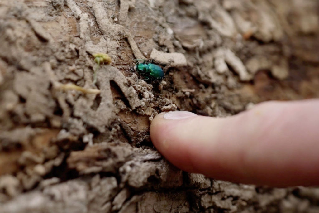 telling-our-stories-7 EAB