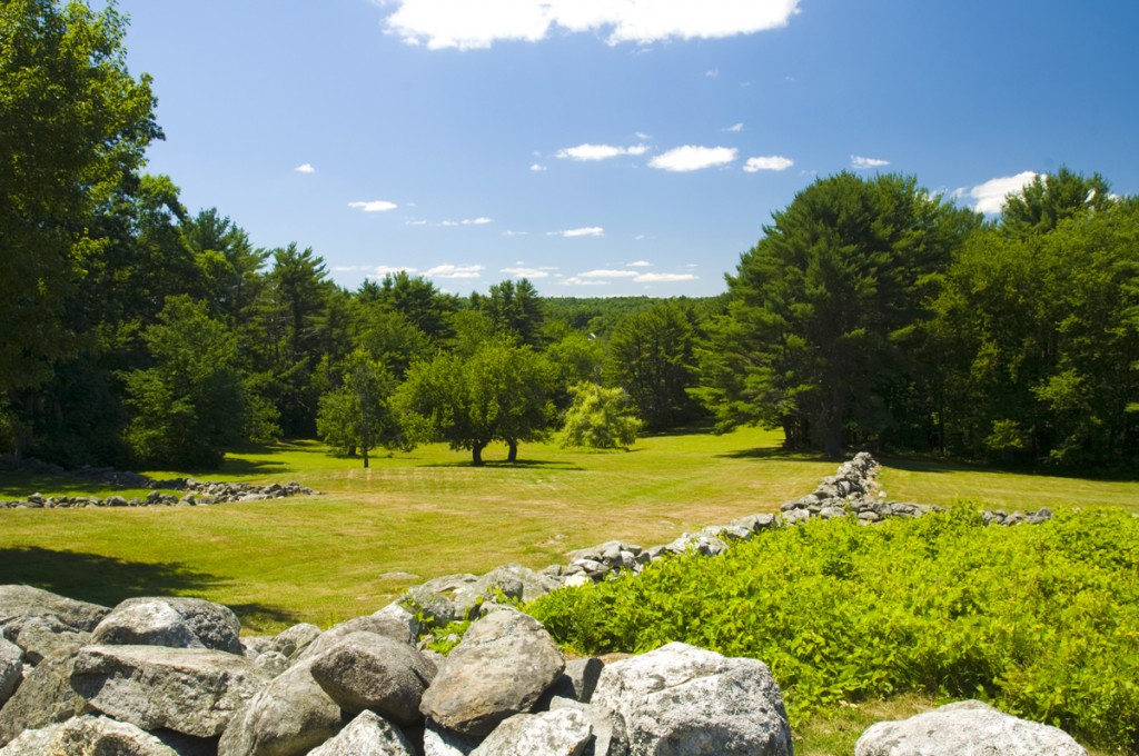 alt tag