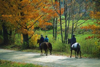 Luxury Vermont real estate