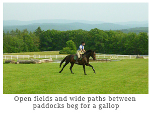 Swept Away Farm, 80 Edgell Road, Newport, NH