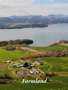 Farmland