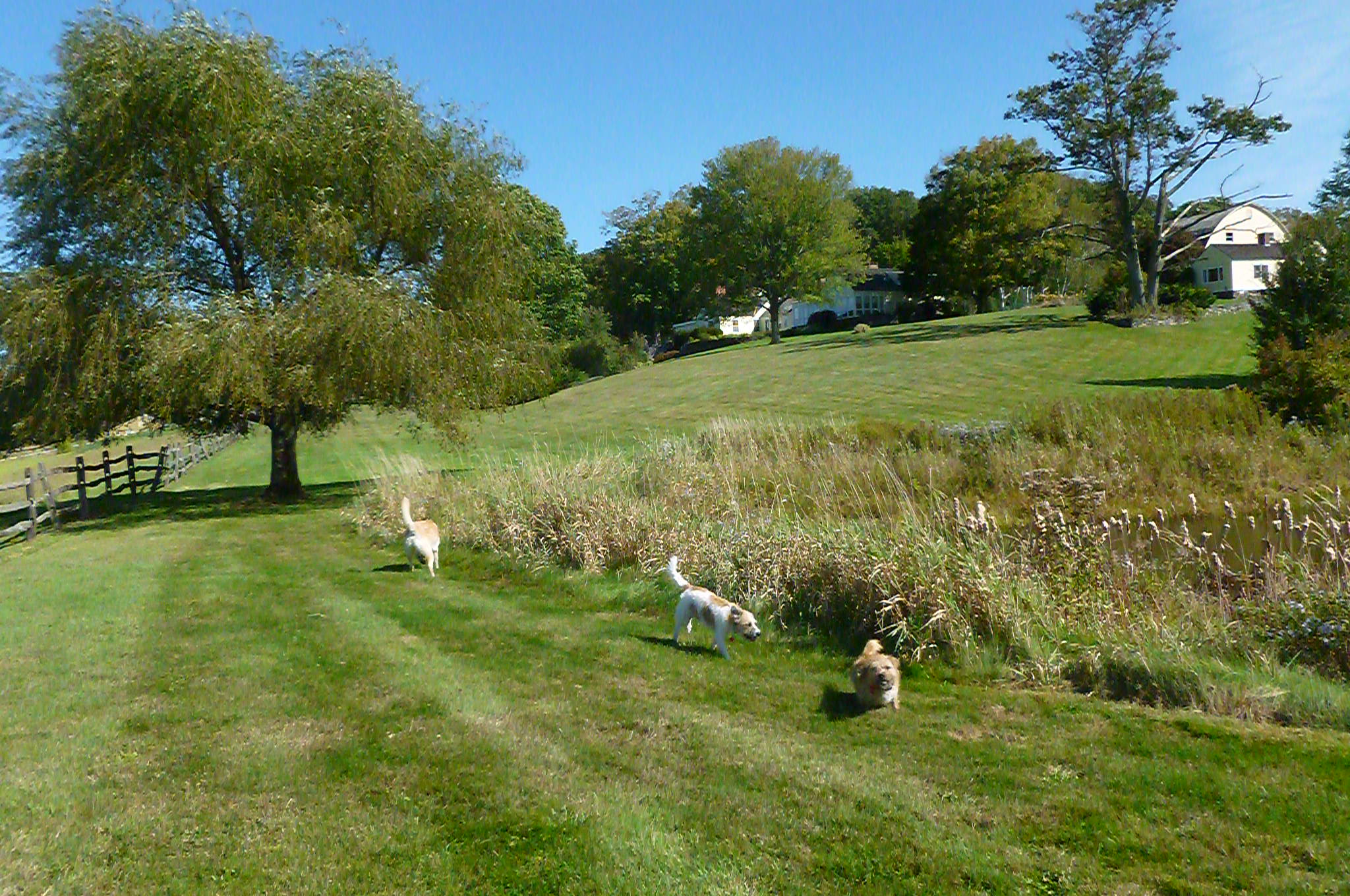 Lawns of Walpole Hills Estate, Walpole, NH