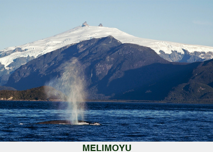 Click here for LandVest property details on Melimoyu