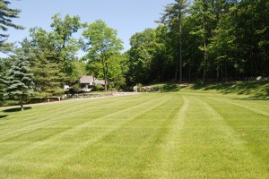 Front Lawn: 695 Monument Street, Concord, MA