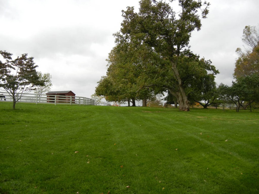 Finch Farm, North Salem, MA