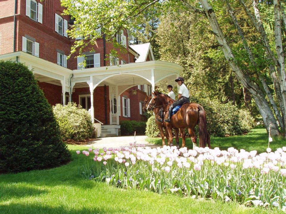 alt tag