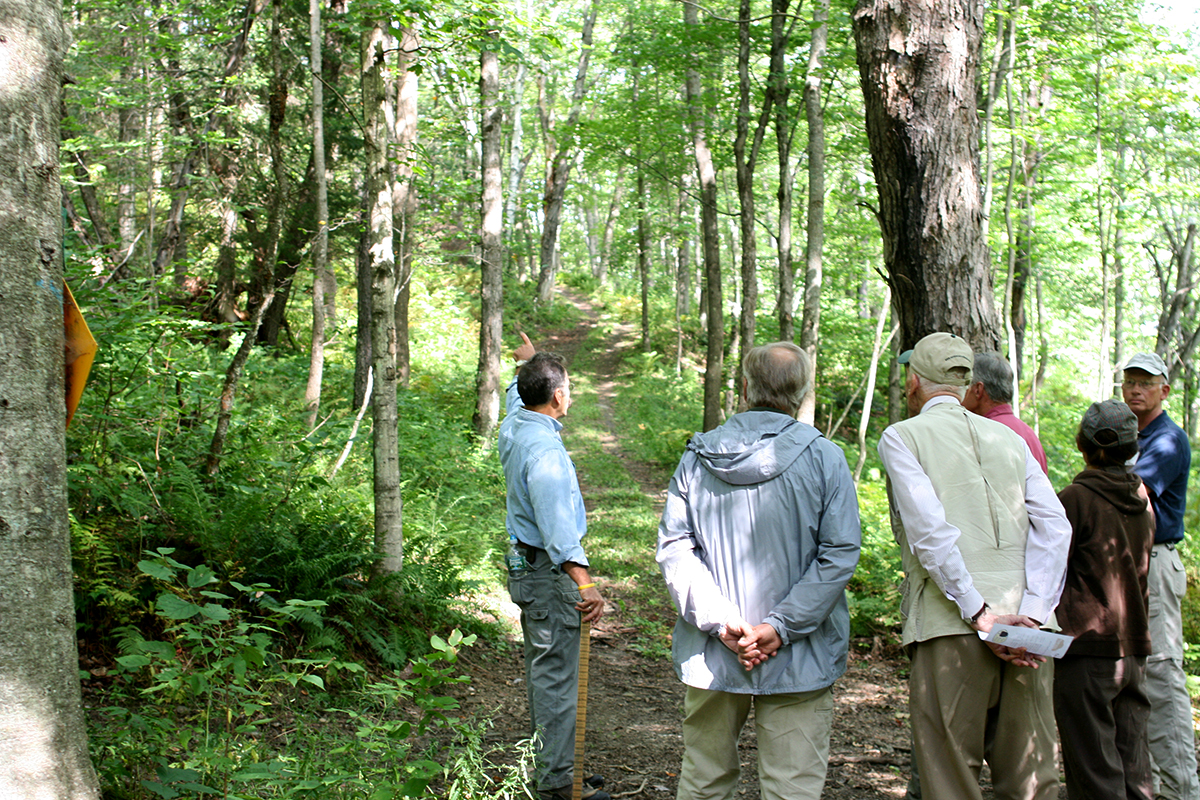 LandVest VP of Timberland Management, Richard Carbonetti