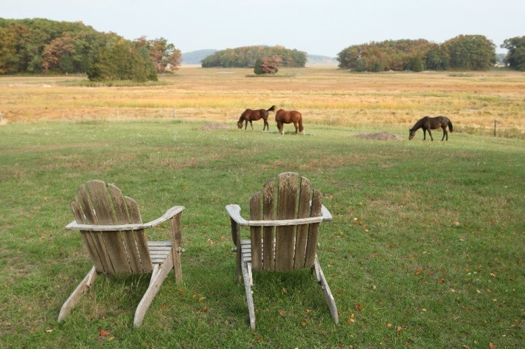 Paynter Farm, Essex, MA 6