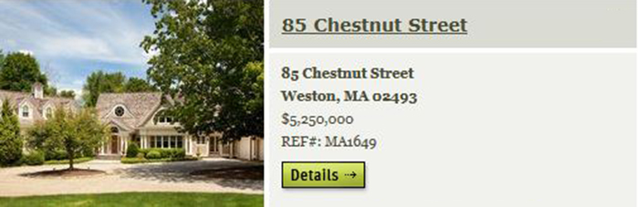 85 Chestnut Street, Weston MA