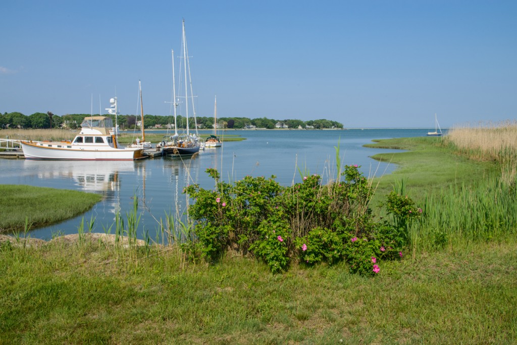 Duxbury Harbor View
