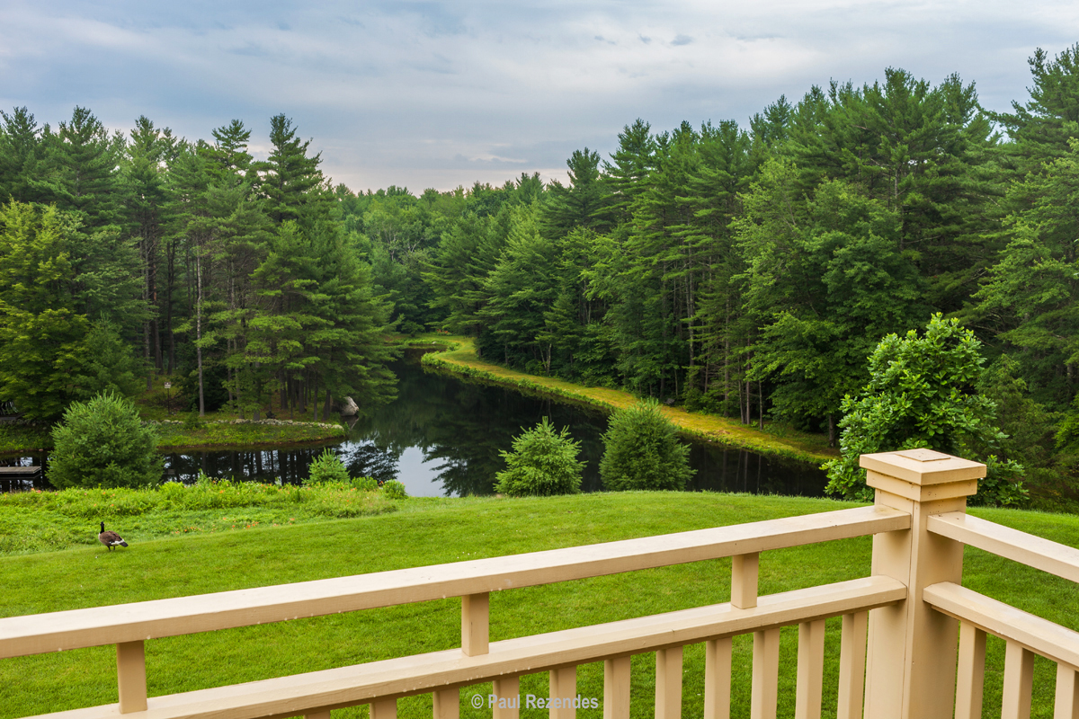 View from main house over pond