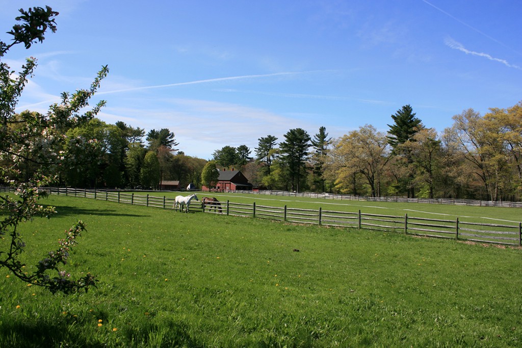 MA1718_1_1N