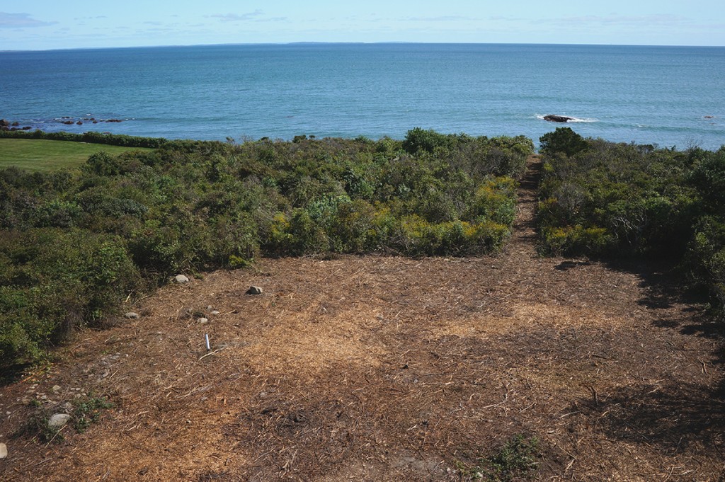 1.5 waterfront acres at 55 Beach Dr, Little Compton RI0067_9
