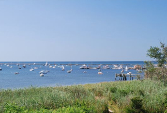 Boats_photo