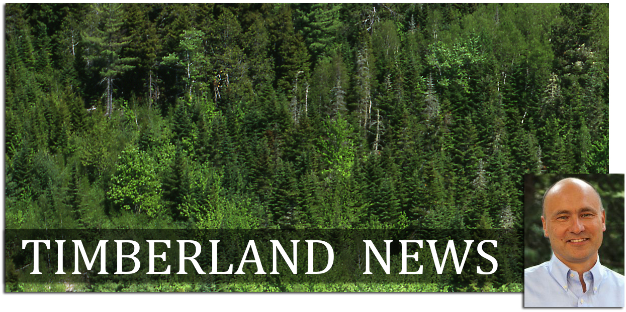 timberlandheader2