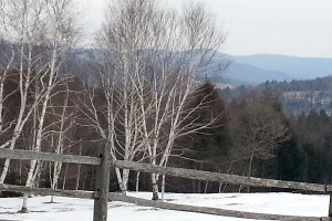 winterscene4