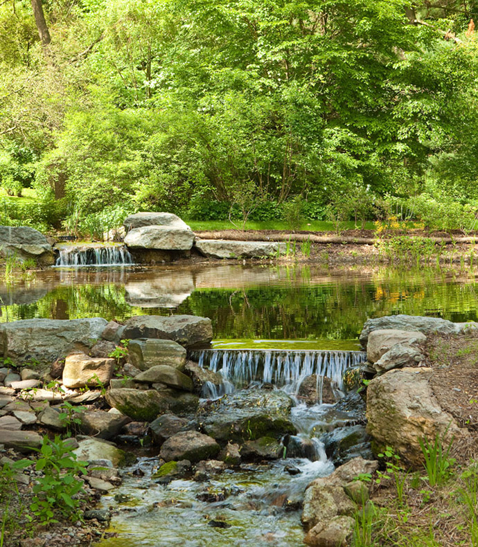 AA