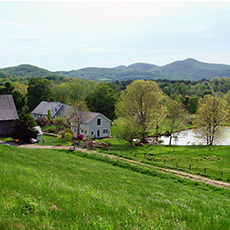 grey meadowsc