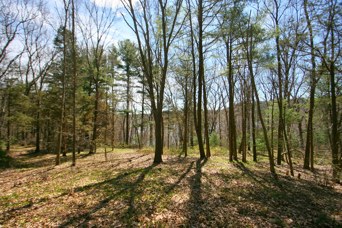 Wenham Lake Land, Wenham, MA MA1769_1