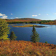 Brandon - Goose Pond Brandon_Goose Pondc