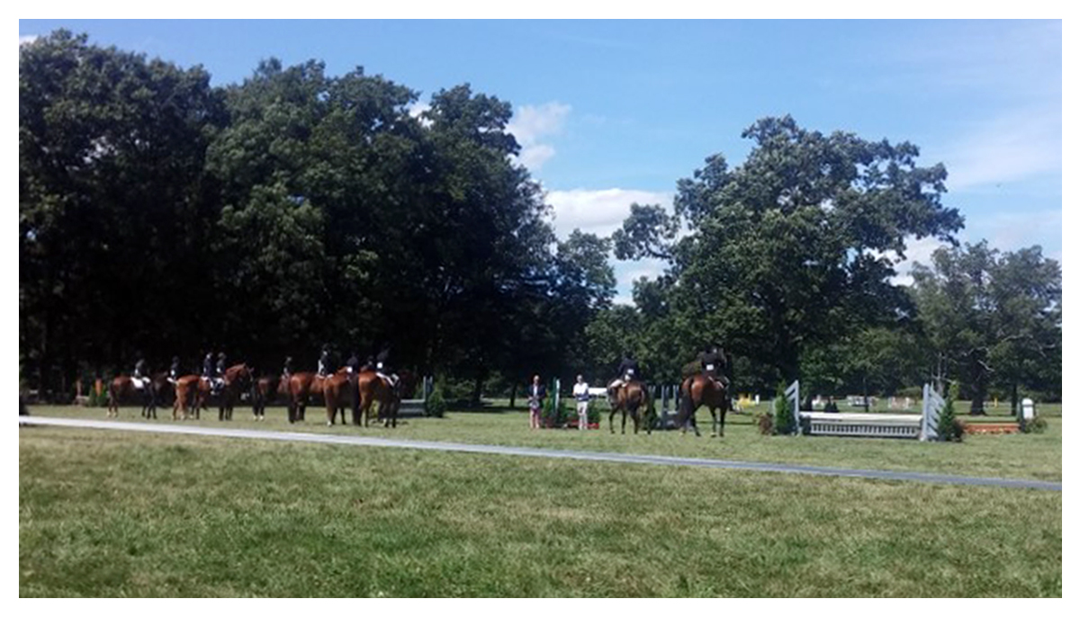 Myopia -Horses Cropped 3