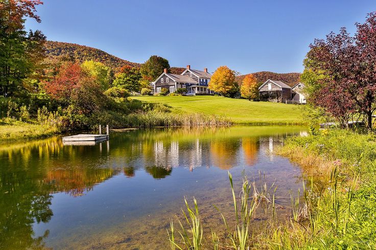 blackhosuefarm